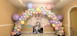 20240426 200948 1739920122 Balloon Arch